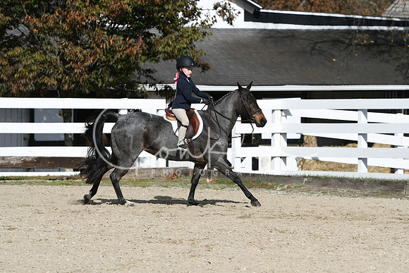 HSM_2557