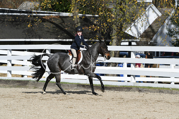 HSM_2559