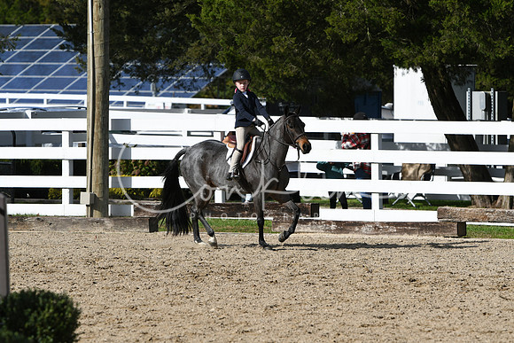 HSM_2565