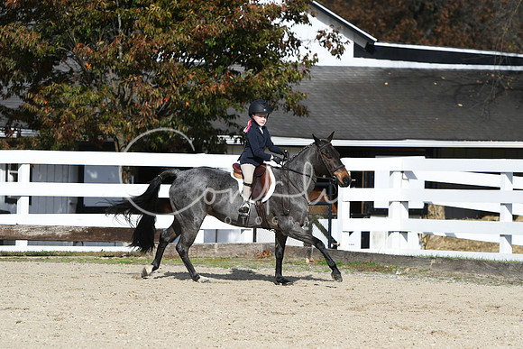 HSM_2617