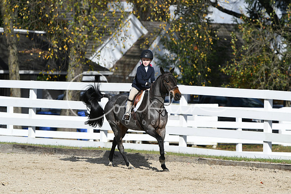 HSM_2619