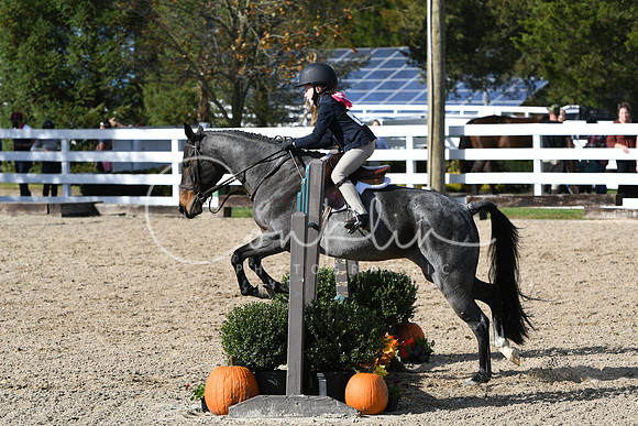 HSM_2626