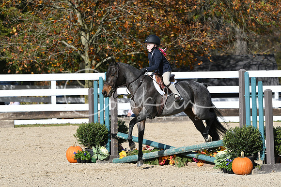 HSM_2625