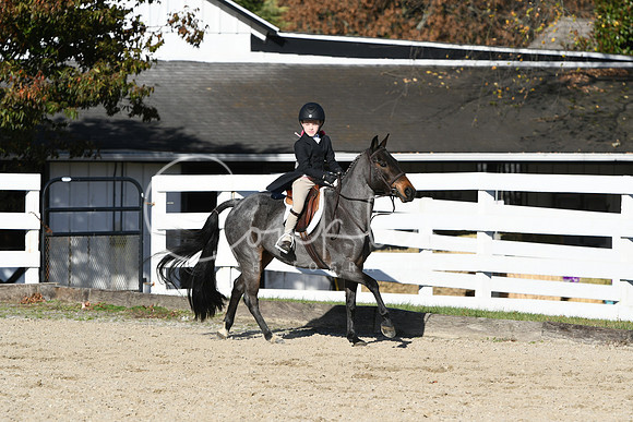 HSM_2905