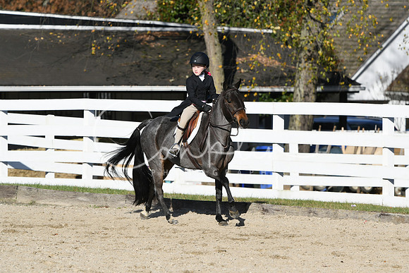 HSM_2906