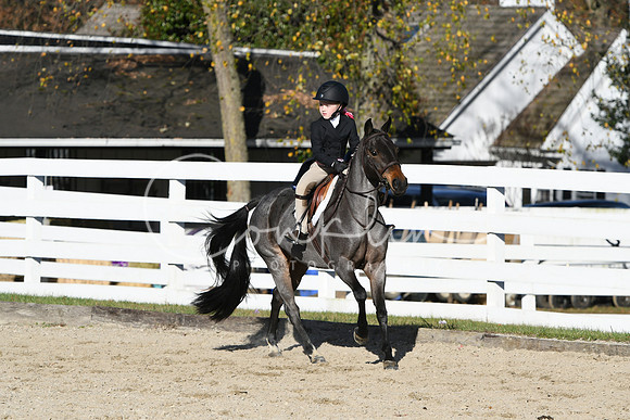 HSM_2907