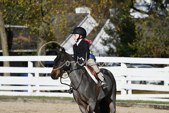 HSM_2908