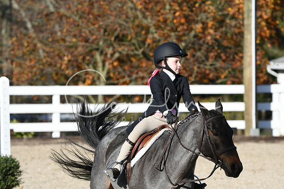 HSM_2970