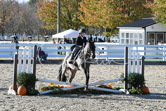 HSM_2972