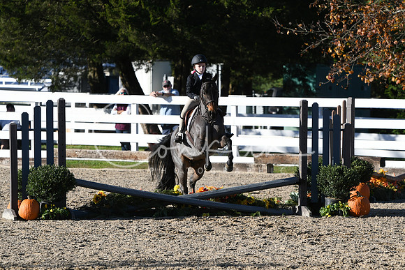 HSM_2973