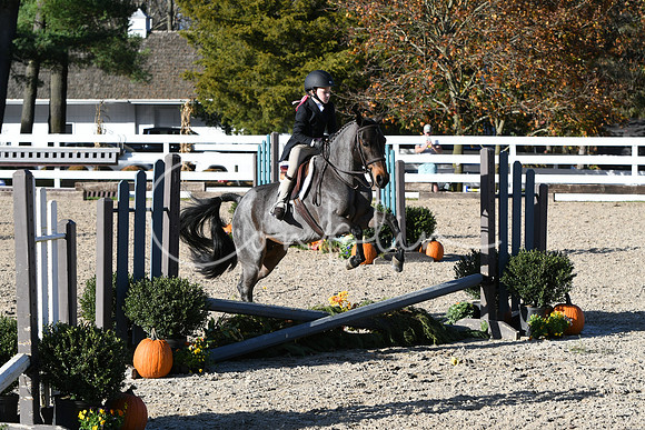 HSM_2974