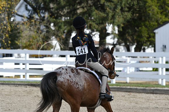HSM_2165