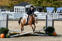 HSM_2163