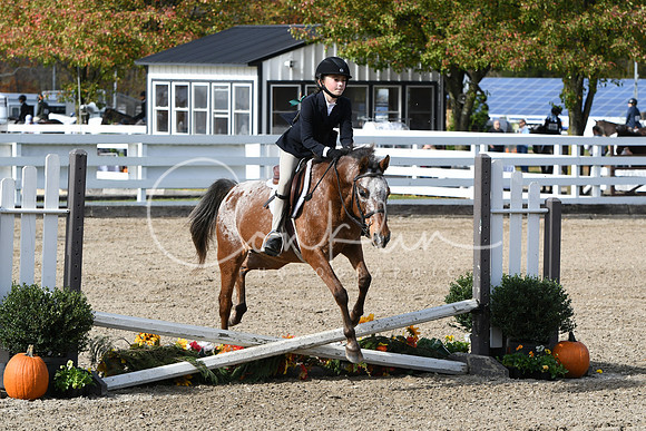 HSM_2163