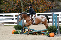 HSM_2166