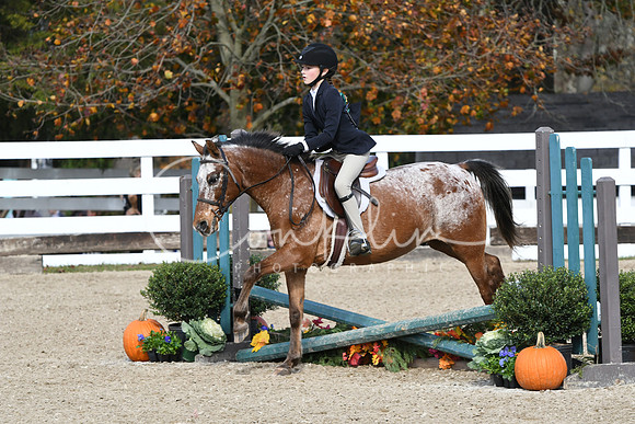 HSM_2166