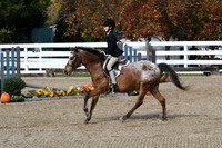 HSM_2167
