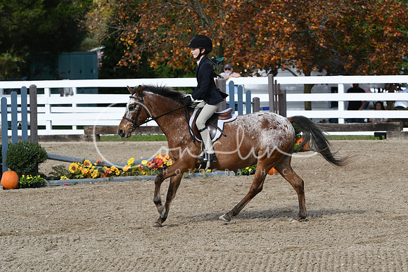 HSM_2167