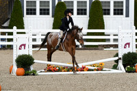 HSM_2223