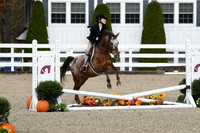 HSM_2222