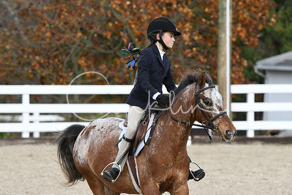 HSM_2224