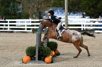 HSM_2229