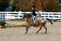 HSM_2228