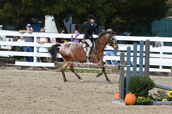 HSM_2230