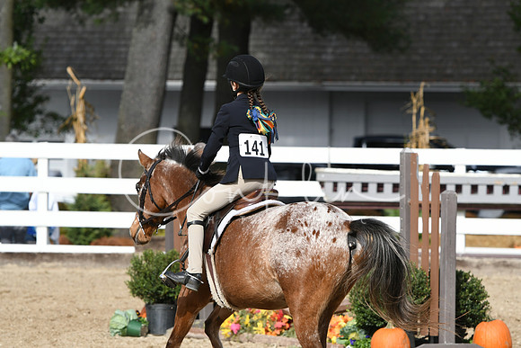 HSM_2236