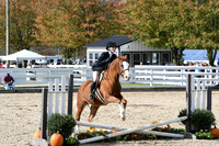 HSM_2407