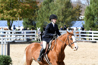 HSM_2408