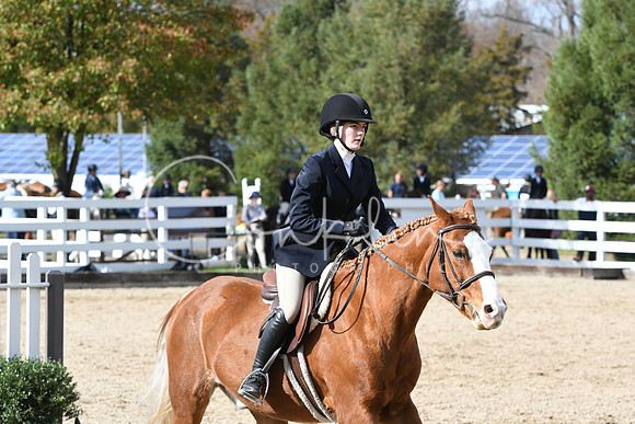 HSM_2408