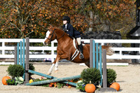 HSM_2409