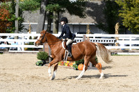 HSM_2410