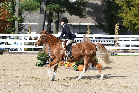 HSM_2410