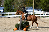 HSM_2411