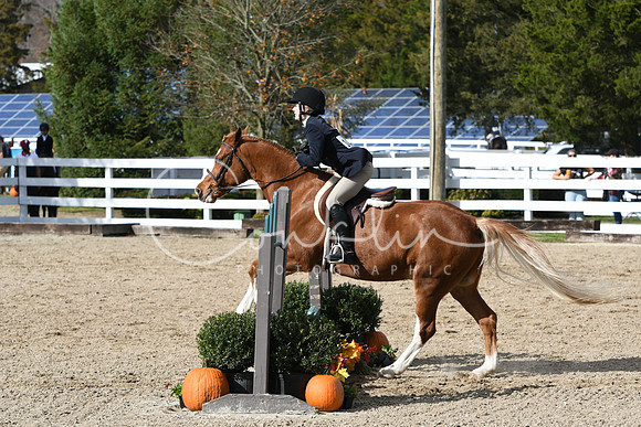 HSM_2411