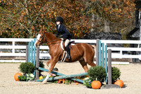 HSM_2490
