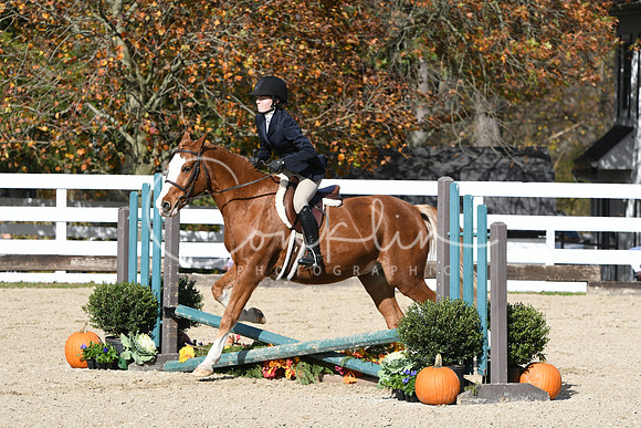 HSM_2490