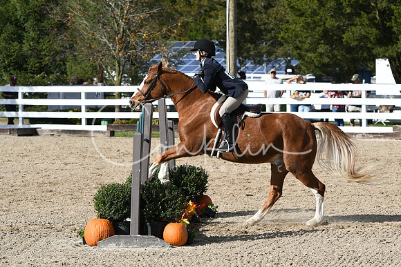 HSM_2491