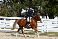 HSM_2494
