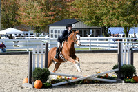 HSM_2495