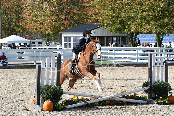 HSM_2495