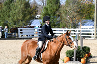 HSM_2496