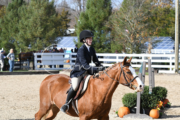 HSM_2496