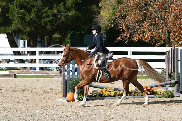 HSM_2498