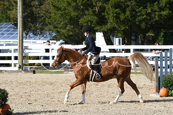 HSM_2499