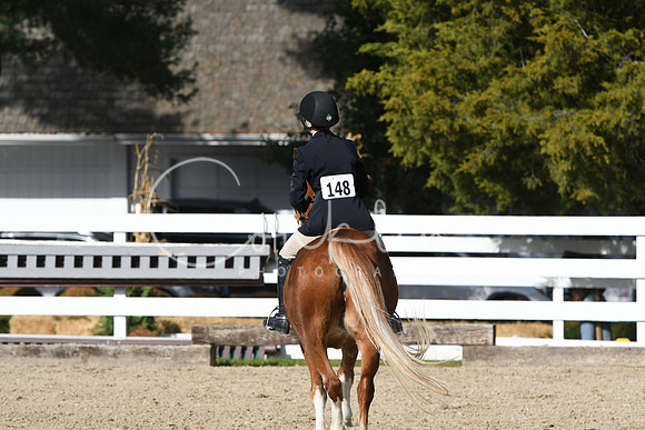 HSM_2567