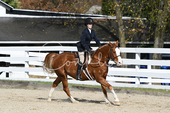 HSM_2568