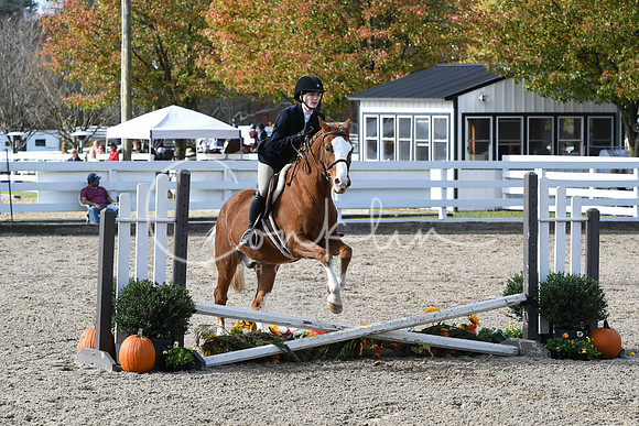 HSM_2569